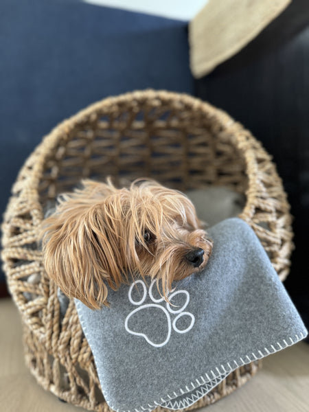 Dog Blanket with Stitched Edge